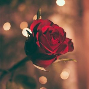 Meet your Posher, Aileen